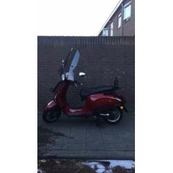 Vespa primavera / sprint