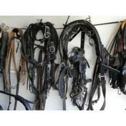 Recreactiewagen shetlanders enkel/dubbelspan