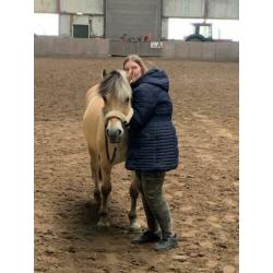 Verzorg paard / pony gezocht