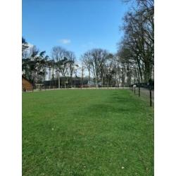 Paddock paradise met wei heeft plek voor 1 of 2 ponies