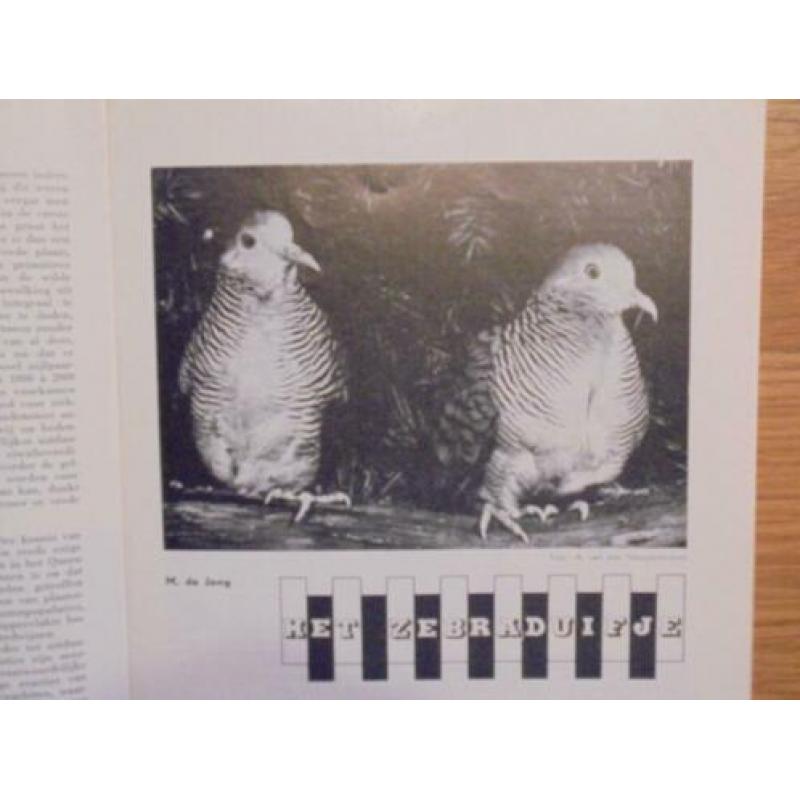Natuur & Techniek 1963 nr 9
