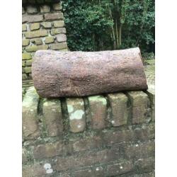 Prunushout 40+ jaar, droog, dicht, met schors