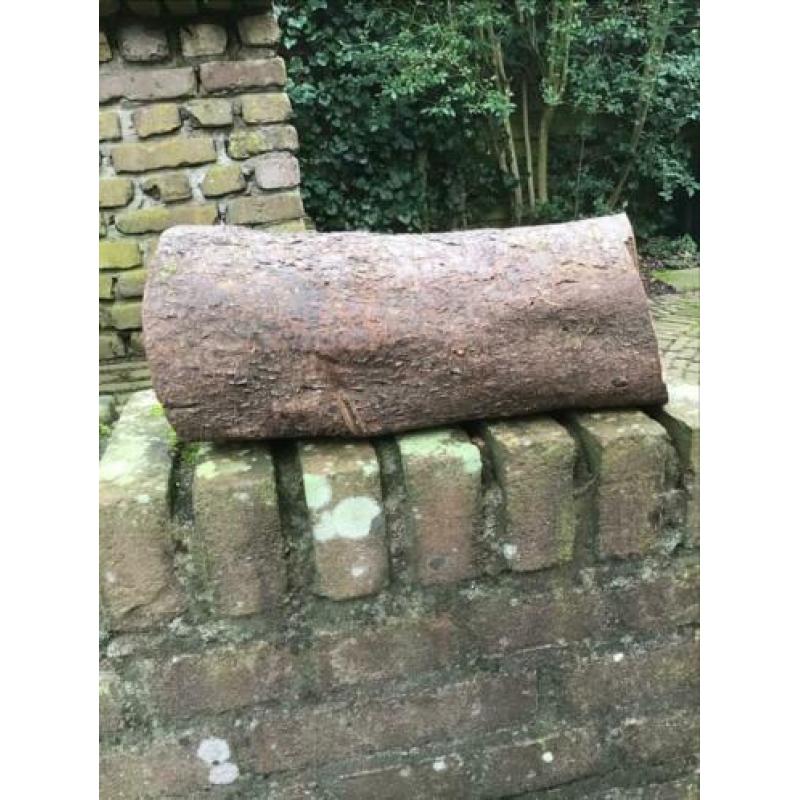 Prunushout 40+ jaar, droog, dicht, met schors