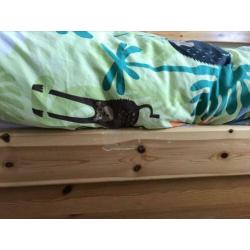 Te koop bed met onderschuifbed