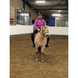 Verzorg paard / pony gezocht