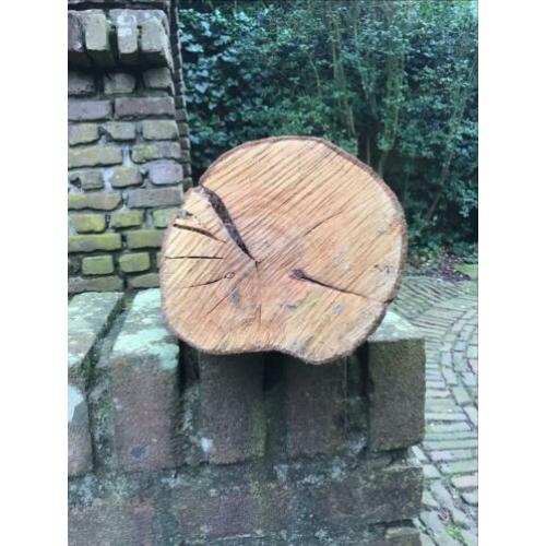 Prunushout 40+ jaar, droog, dicht, met schors