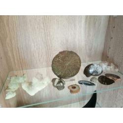 Edelsteen en fosiet setje