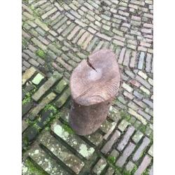 Prunushout 40+ jaar, droog, dicht, met schors