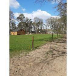 Paddock paradise met wei heeft plek voor 1 of 2 ponies