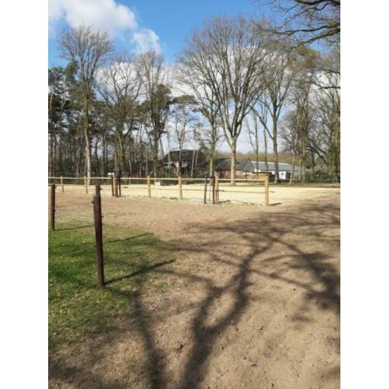 Paddock paradise met wei heeft plek voor 1 of 2 ponies