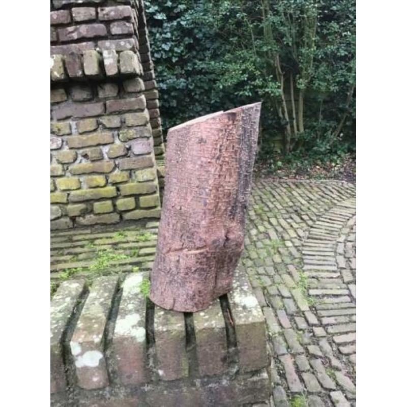 Prunushout 40+ jaar, droog, dicht, met schors