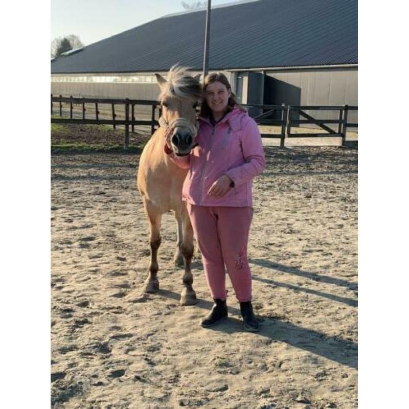 Verzorg paard / pony gezocht