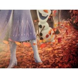 Nieuw! Gave FROZEN 2 Filmposter Elsa Olaf 43 x 30