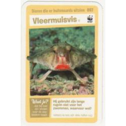 93 superdierenkaarten van Albert Heijn (4350)