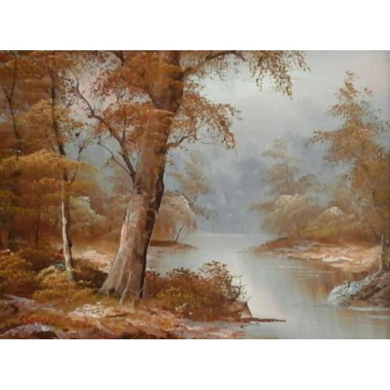 Romantisch bos met een beekje - sfeervol landschap
