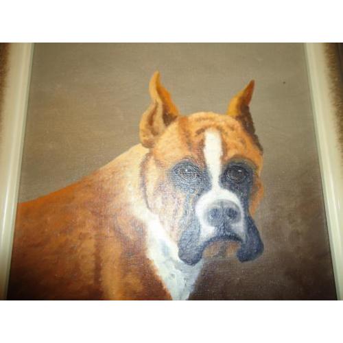 Hond van Ludwig Schongarth