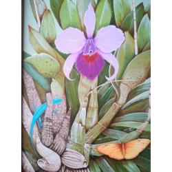 Orchidee vlinder hagedis