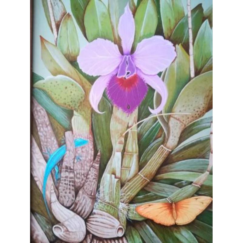 Orchidee vlinder hagedis