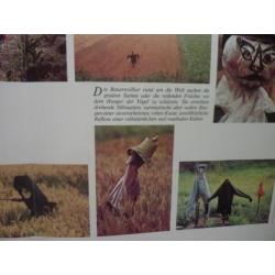 portfolio Hans Silvester, Wächter der Felder (10 foto's)