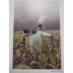 portfolio Hans Silvester, Wächter der Felder (10 foto's)