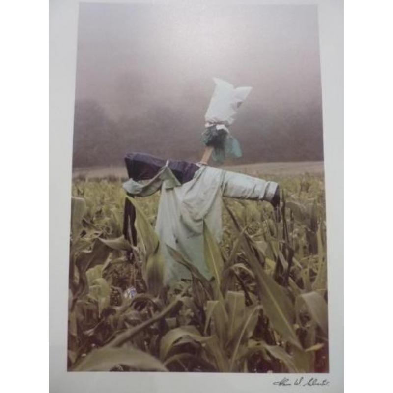 portfolio Hans Silvester, Wächter der Felder (10 foto's)