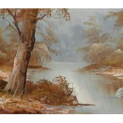 Romantisch bos met een beekje - sfeervol landschap