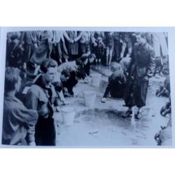 NOOIT MEER * GESCHIEDENIS HOLOCAUST * Martin Gilbert *