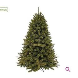 Supermooie Triumph Forest Frosted Pine Tree kerstboom 260 cm