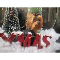 Nieuw ! Stilleven Glazen Bak met Kerst Terriër