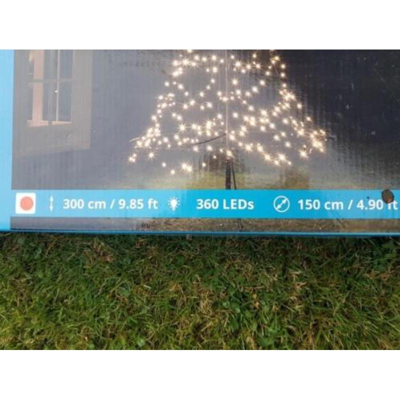 Kerstboom