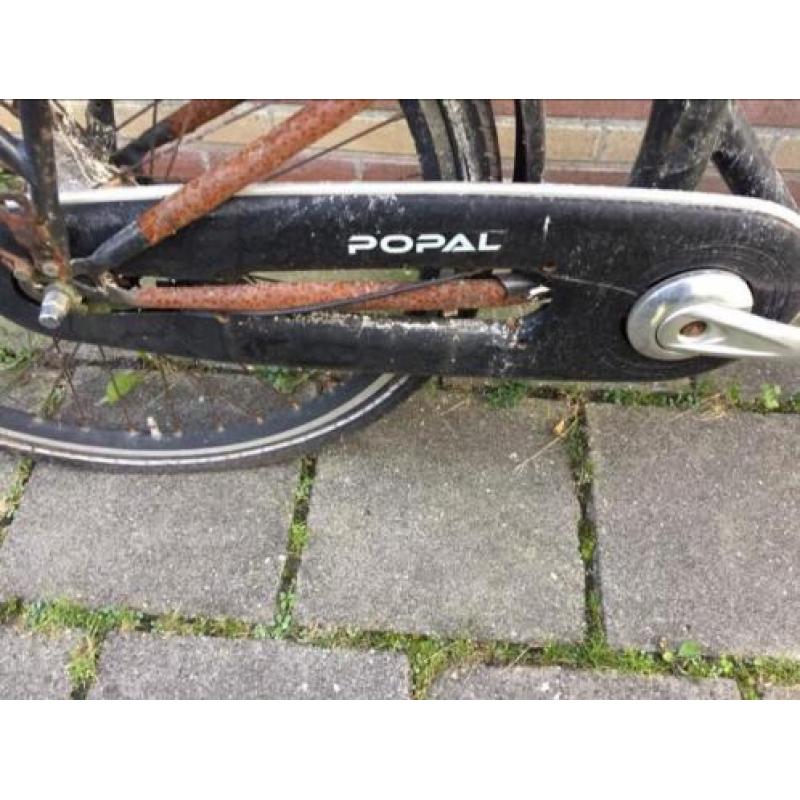 Popal Bakfiets te koop