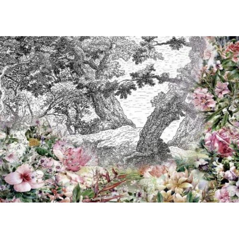 Bloemen fotobehang tuinbloemen, Diverse afm. *Fotobehang4you