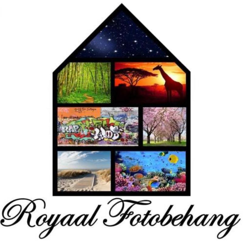 Kleurrijk Rivier Fotobehang Vliesbehang 368×248 XXL4-016