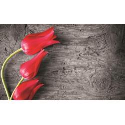 FOTOBEHANG ROZEN-BLOEMEN, VLIES, 4 BANEN, 416 x 254 cm